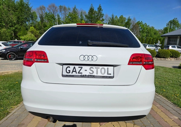 Audi A3 cena 34900 przebieg: 156000, rok produkcji 2010 z Gryfice małe 781